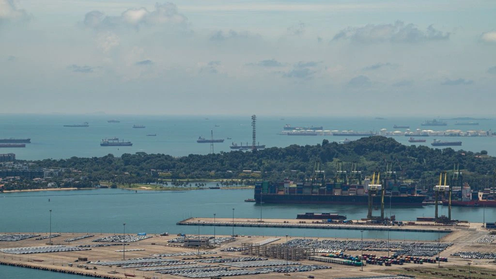 Singapore port logistics terminal at dawn, the operational anchor of REGZA Asia's regional distribution
